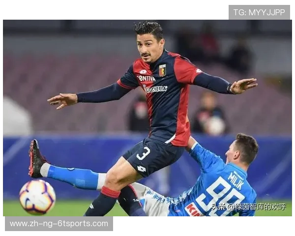 法甲赛事现场体验指南：球迷购票、观赛与交通服务全攻略